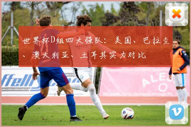 世界杯D组四大强队：美国、巴拉圭、澳大利亚、土耳其实力对比