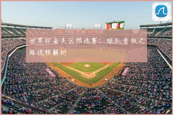 世界杯南美区预选赛：球队晋级之路视频解析